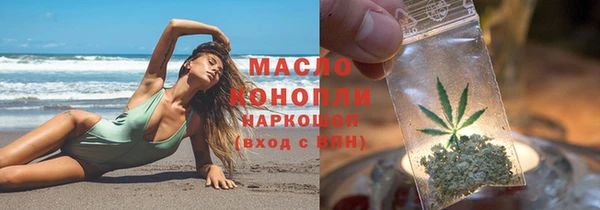 индика Иннополис