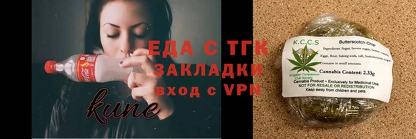 стаф Инта