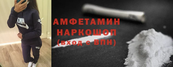 стаф Инта