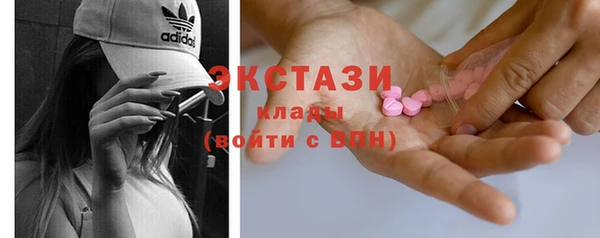 стаф Инта