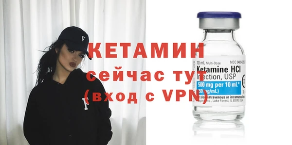 стаф Инта