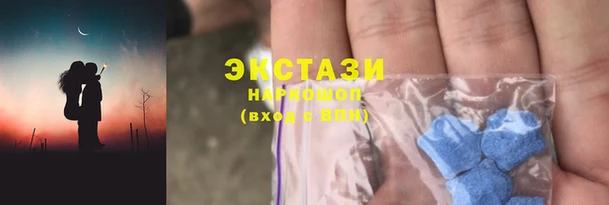 индика Иннополис