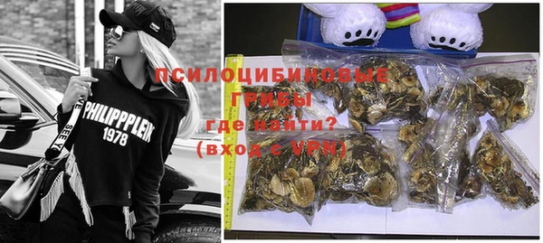 индика Иннополис