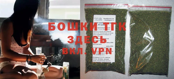 индика Иннополис