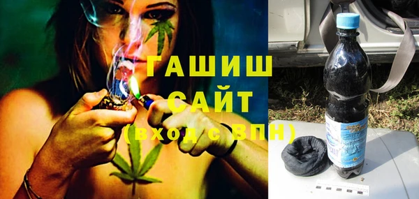 стаф Инта