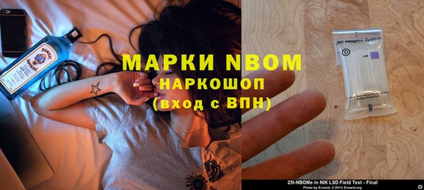 индика Иннополис