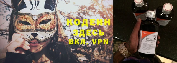 стаф Инта