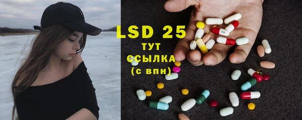 индика Иннополис